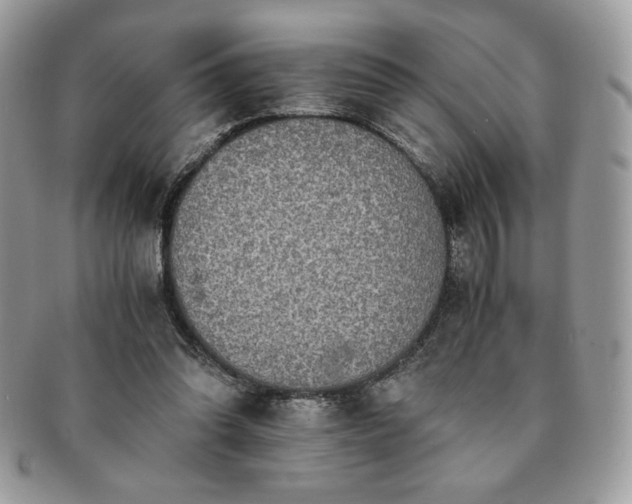 X0000091200302200708161620
