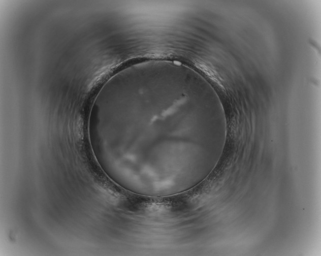 X0000091200303200708161620
