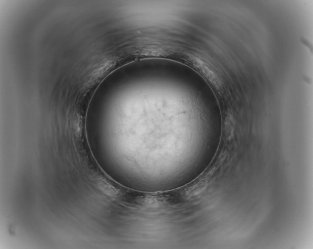X0000091200305200708161620