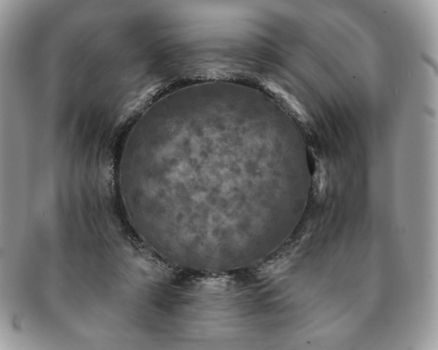 X0000091200306200708161620