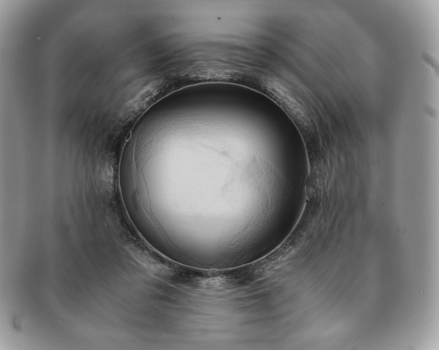 X0000091200309200708161620
