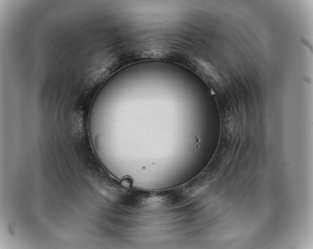X0000091200312200708161620