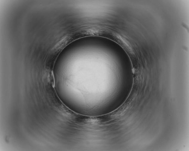 X0000091200313200708161620