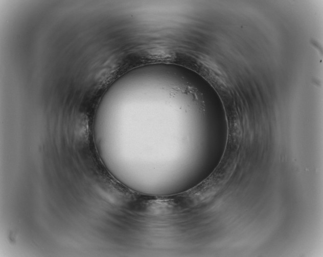 X0000091200320200708161620