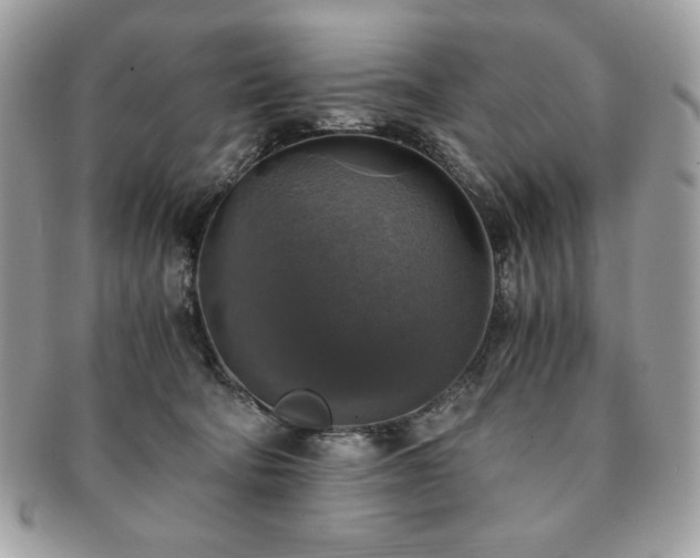 X0000091200322200708161620