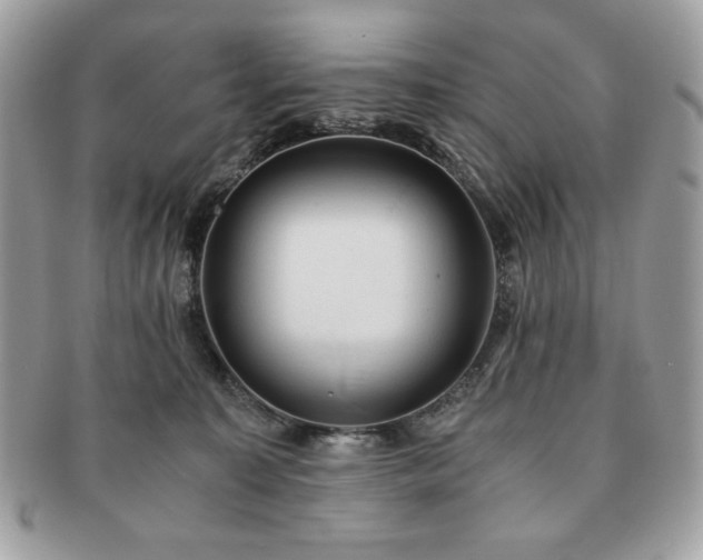 X0000091200323200708161620