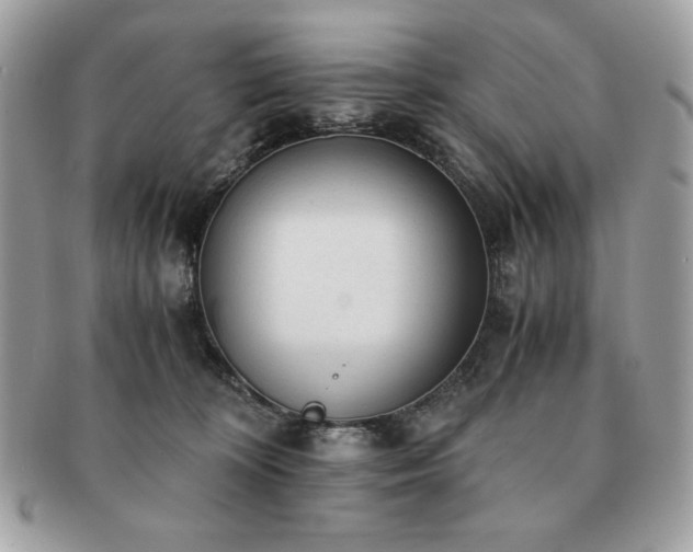 X0000091200324200708161620