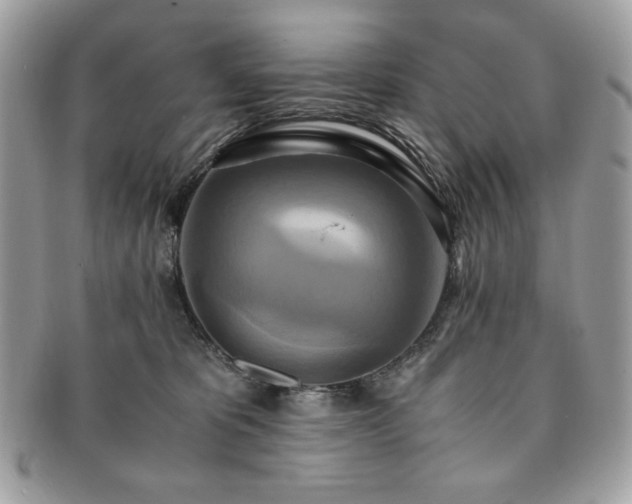 X0000091200325200708161620