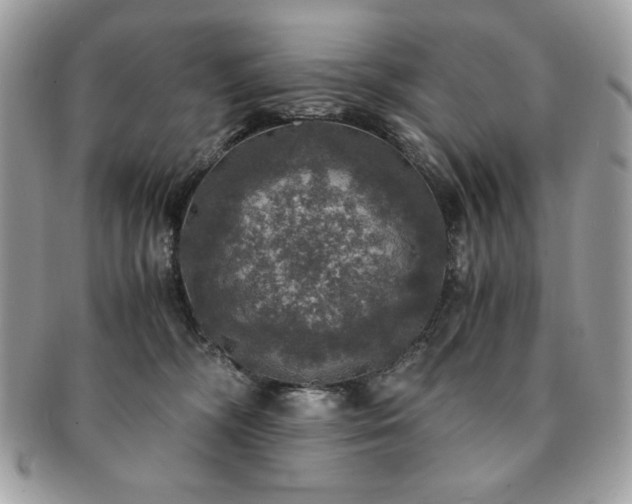 X0000091200326200708161620