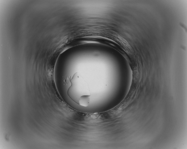 X0000091200329200708161620