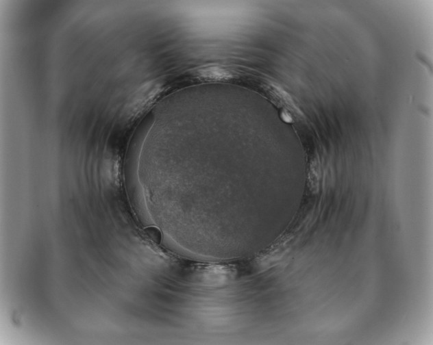 X0000091200330200708161620