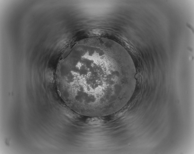 X0000091200331200708161620