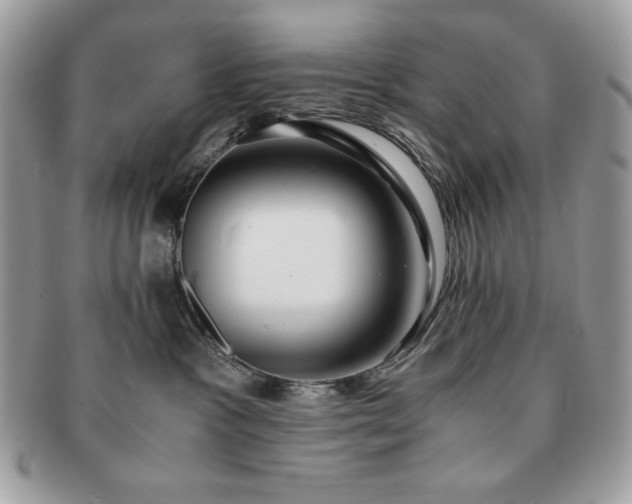X0000091200333200708161620
