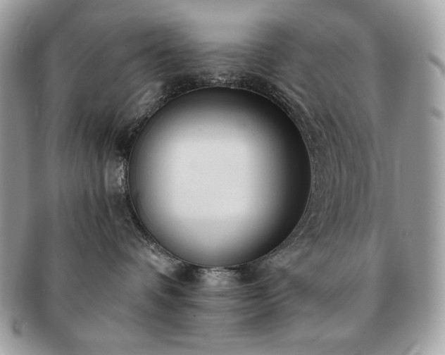 X0000091200336200708161620