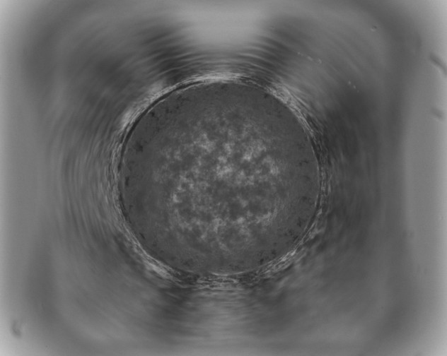 X0000091200337200708161619