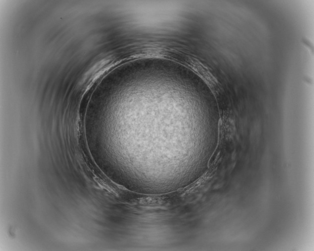 X0000091200338200708161619