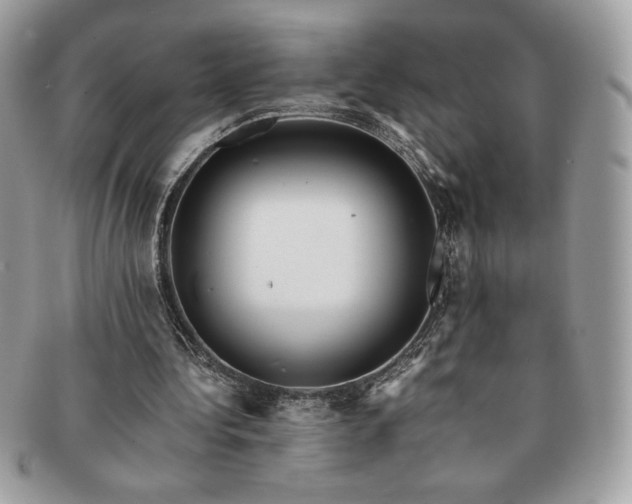 X0000091200340200708161619