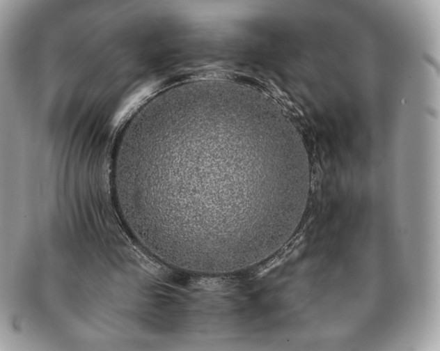 X0000091200341200708161619