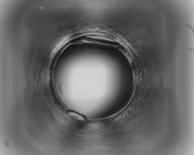 X0000091200344200708161619