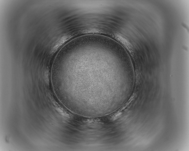 X0000091200345200708161619