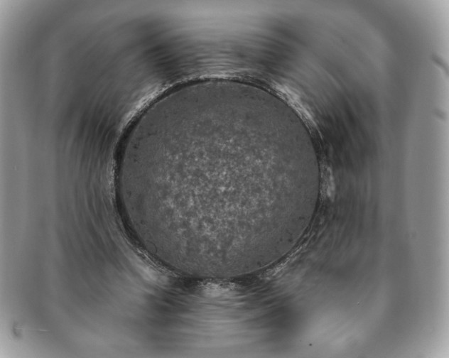 X0000091200346200708161619
