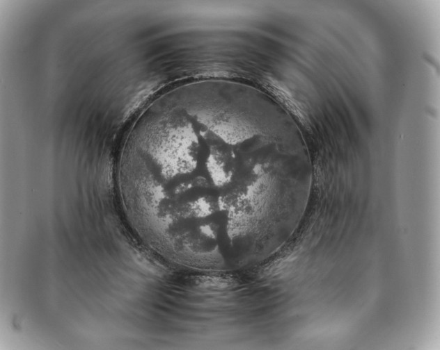 X0000091200347200708161619
