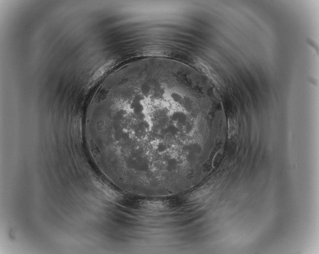 X0000091200349200708161619