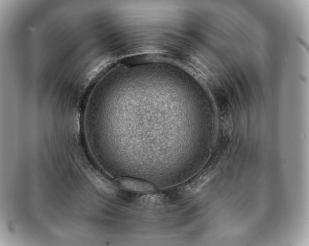 X0000091200350200708161619
