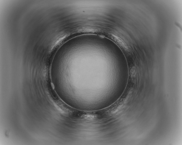 X0000091200352200708161619