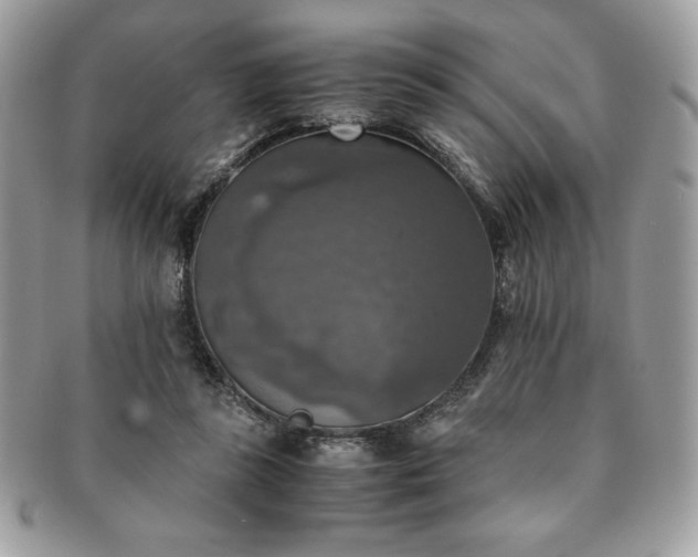 X0000091200355200708161619