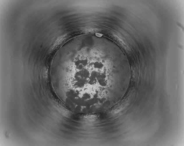 X0000091200357200708161619