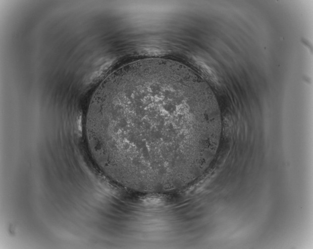 X0000091200358200708161619