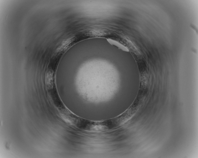 X0000091200360200708161619