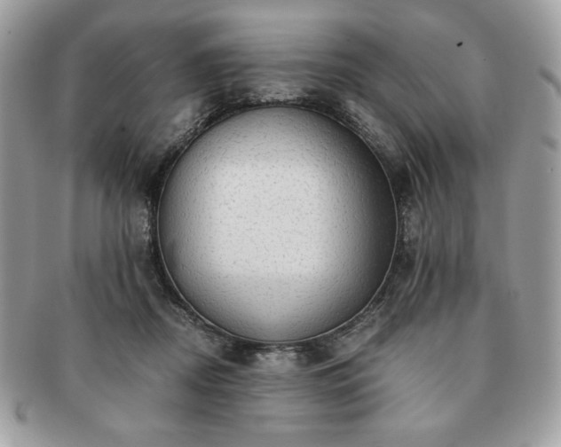 X0000091200362200708161619
