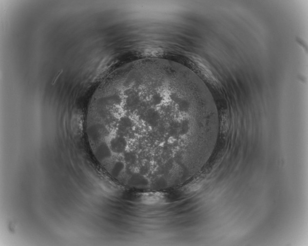 X0000091200363200708161619
