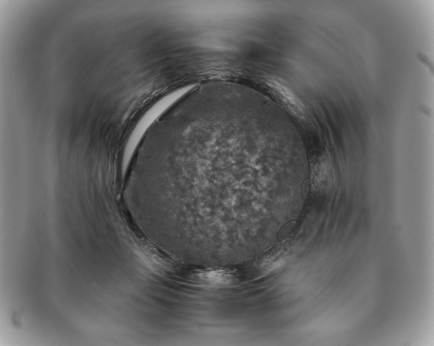 X0000091200365200708161619