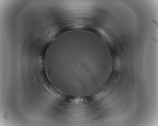 X0000091200366200708161619