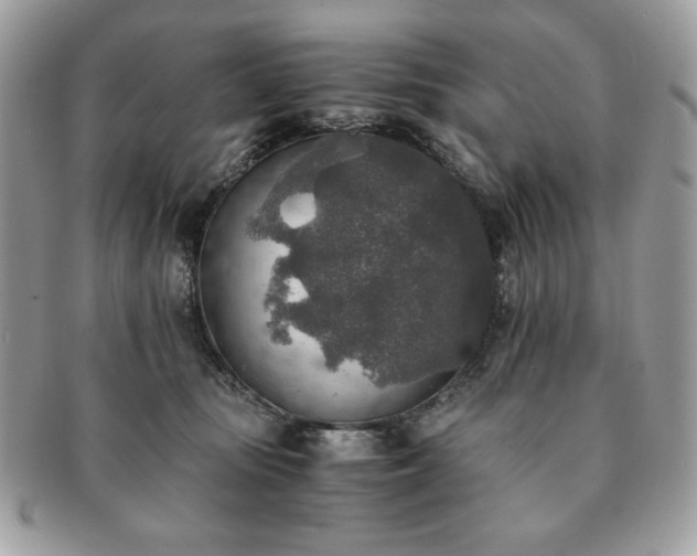 X0000091200371200708161620