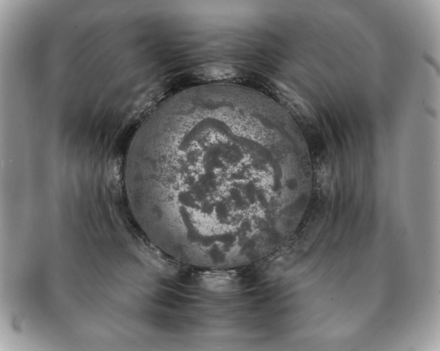 X0000091200373200708161620