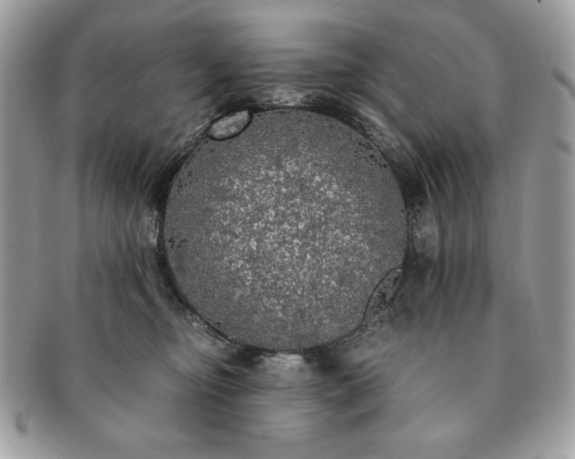 X0000091200374200708161620