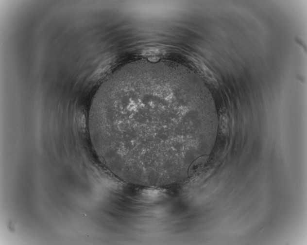 X0000091200375200708161620