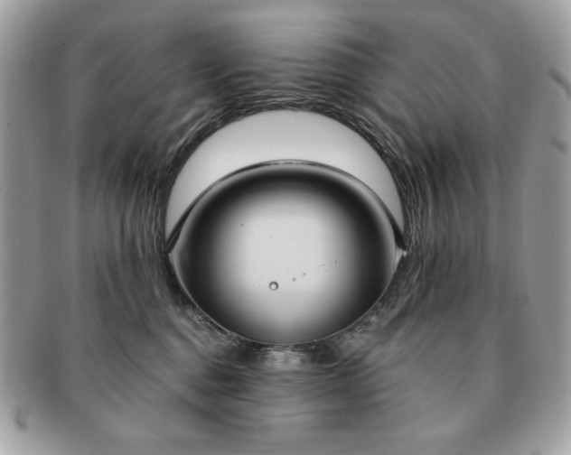 X0000091200376200708161620