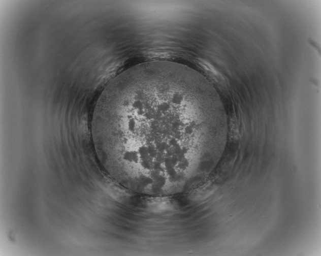X0000091200377200708161620