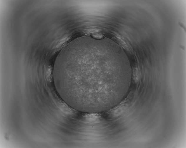 X0000091200378200708161620