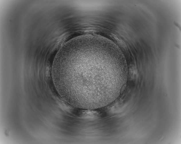 X0000091200379200708161620