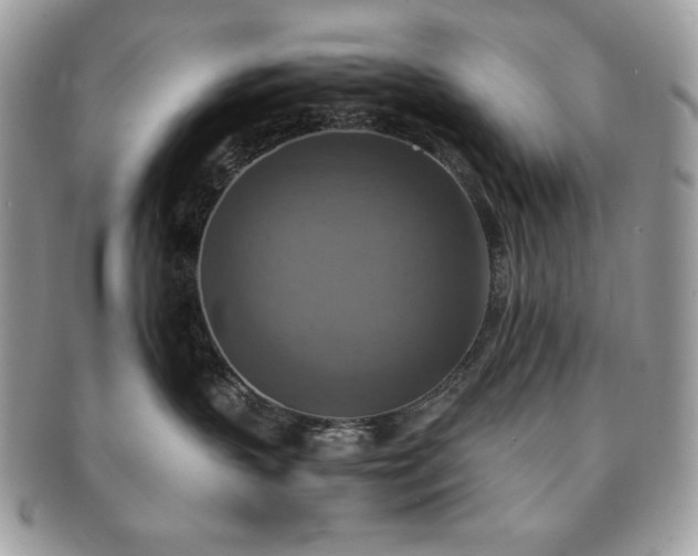 X0000091200383200708161620