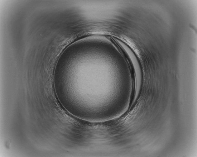 X0000091200385200708161619