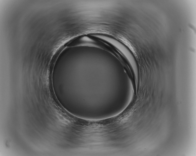 X0000091200387200708161619