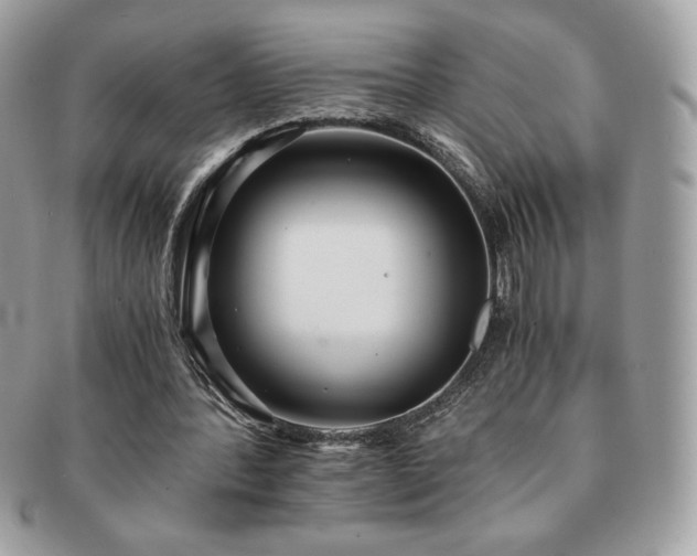 X0000091200388200708161619