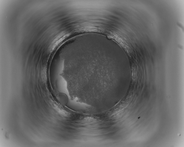 X0000091200390200708161619